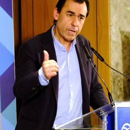 FERNANDO MARTÍNEZ-MAÍLLO TORIBIO